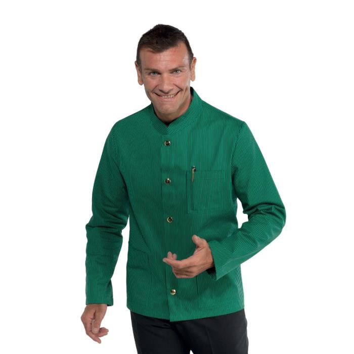 Coreana uomo 100% cotone riga verde blu