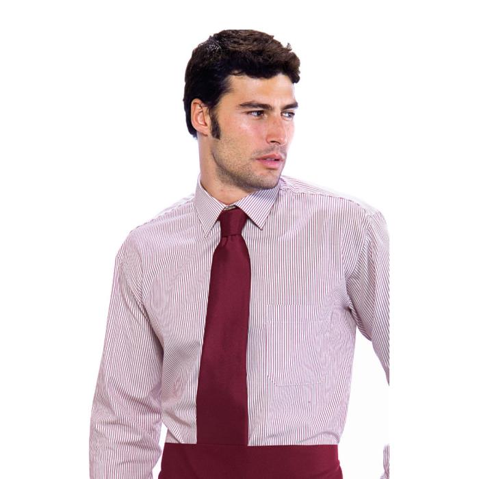 Cravatta Classica Bordeaux