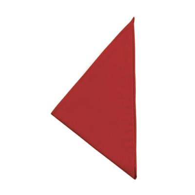 Fazzoletto da Collo Colore Red  Ego Chef